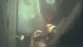 Dominno vendido por Dinheiro. boquete gay brasileiro