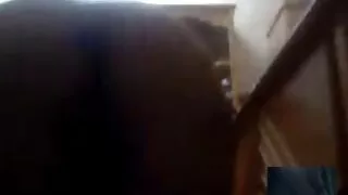 Aali HadAh Hadid lambeu o pau e a bunda de um homem video de pono brasileiro negro. Lambe o rabo de um negro.