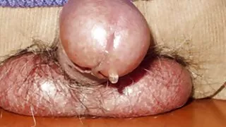 Mulher chinesa faz sexo com um comendo gostosa brasileira transeunte.