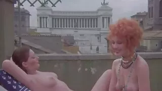 Ébano pau ninfeta brasileira BB 2